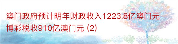 澳门政府预计明年财政收入1223.8亿澳门元 博彩税收910亿澳门元 (2)