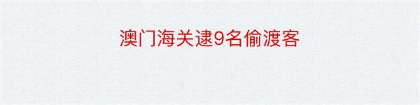 澳门海关逮9名偷渡客