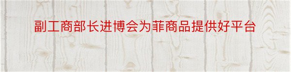 副工商部长进博会为菲商品提供好平台