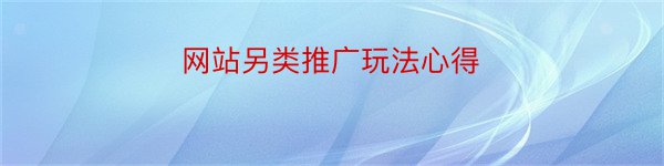 网站另类推广玩法心得