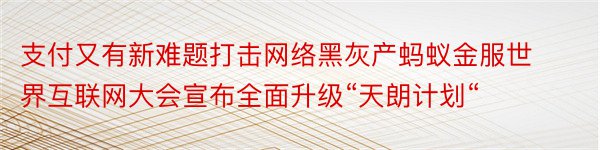 支付又有新难题打击网络黑灰产蚂蚁金服世界互联网大会宣布全面升级“天朗计划“