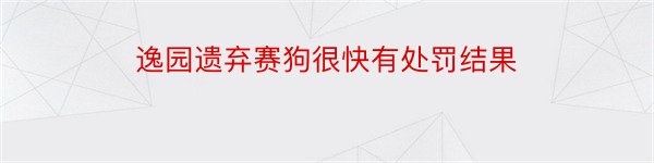 逸园遗弃赛狗很快有处罚结果