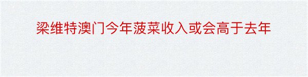 梁维特澳门今年菠菜收入或会高于去年