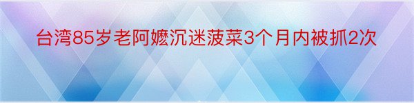 台湾85岁老阿嬷沉迷菠菜3个月内被抓2次