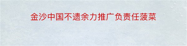 金沙中国不遗余力推广负责任菠菜