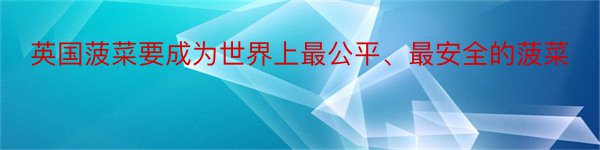 英国菠菜要成为世界上最公平、最安全的菠菜