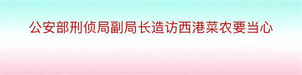 公安部刑侦局副局长造访西港菜农要当心