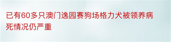 已有60多只澳门逸园赛狗场格力犬被领养病死情况仍严重