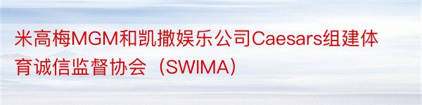 米高梅MGM和凯撒娱乐公司Caesars组建体育诚信监督协会（SWIMA）