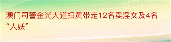 澳门司警金光大道扫黄带走12名卖淫女及4名“人妖”