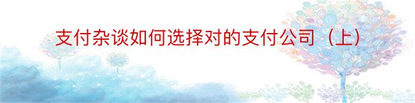 支付杂谈如何选择对的支付公司（上）