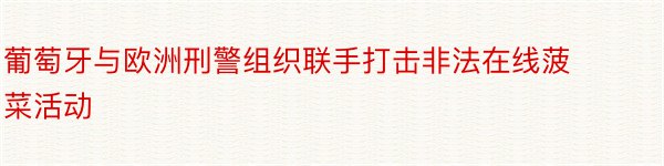 葡萄牙与欧洲刑警组织联手打击非法在线菠菜活动