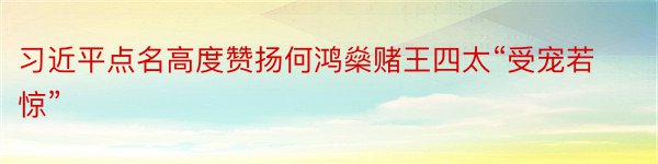 习近平点名高度赞扬何鸿燊赌王四太“受宠若惊”