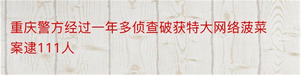 重庆警方经过一年多侦查破获特大网络菠菜案逮111人