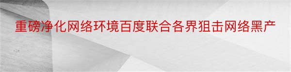 重磅净化网络环境百度联合各界狙击网络黑产