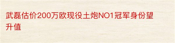 武磊估价200万欧现役土炮NO1冠军身份望升值