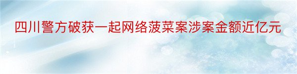 四川警方破获一起网络菠菜案涉案金额近亿元