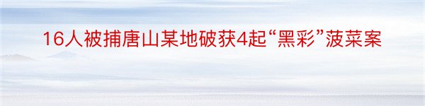 16人被捕唐山某地破获4起“黑彩”菠菜案