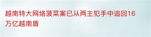 越南特大网络菠菜案已从两主犯手中追回16万亿越南盾