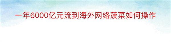 一年6000亿元流到海外网络菠菜如何操作