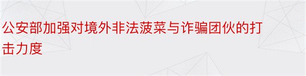 公安部加强对境外非法菠菜与诈骗团伙的打击力度