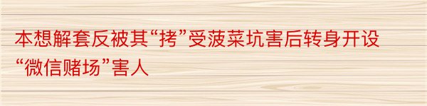 本想解套反被其“拷”受菠菜坑害后转身开设“微信赌场”害人