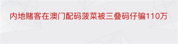 内地赌客在澳门配码菠菜被三叠码仔骗110万