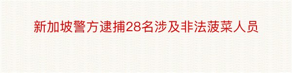 新加坡警方逮捕28名涉及非法菠菜人员