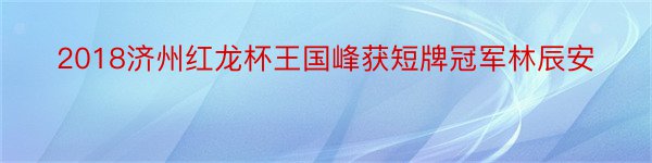 2018济州红龙杯王国峰获短牌冠军林辰安