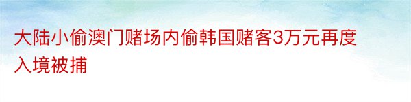 大陆小偷澳门赌场内偷韩国赌客3万元再度入境被捕