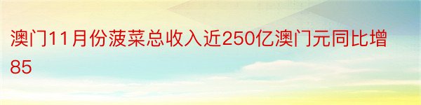 澳门11月份菠菜总收入近250亿澳门元同比增85