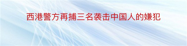 西港警方再捕三名袭击中国人的嫌犯