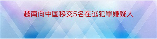 越南向中国移交5名在逃犯罪嫌疑人