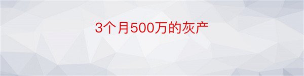 3个月500万的灰产