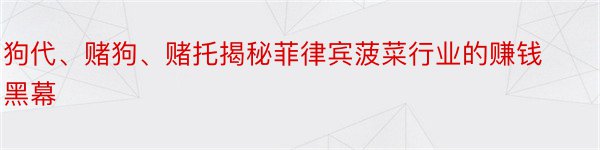 狗代、赌狗、赌托揭秘菲律宾菠菜行业的赚钱黑幕