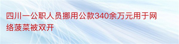 四川一公职人员挪用公款340余万元用于网络菠菜被双开