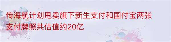 传海航计划甩卖旗下新生支付和国付宝两张支付牌照共估值约20亿