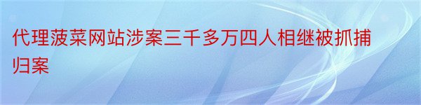 代理菠菜网站涉案三千多万四人相继被抓捕归案