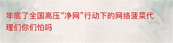 年底了全国高压“净网”行动下的网络菠菜代理们你们怕吗