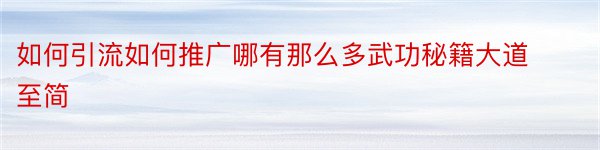 如何引流如何推广哪有那么多武功秘籍大道至简