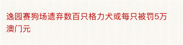 逸园赛狗场遗弃数百只格力犬或每只被罚5万澳门元