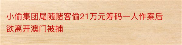 小偷集团尾随赌客偷21万元筹码一人作案后欲离开澳门被捕