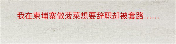 我在柬埔寨做菠菜想要辞职却被套路……