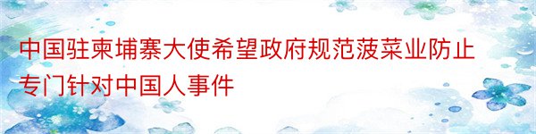 中国驻柬埔寨大使希望政府规范菠菜业防止专门针对中国人事件