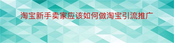 淘宝新手卖家应该如何做淘宝引流推广