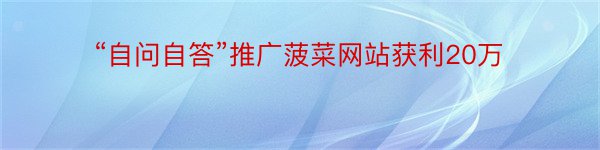 “自问自答”推广菠菜网站获利20万