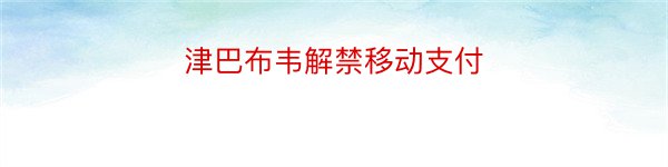 津巴布韦解禁移动支付