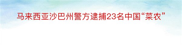 马来西亚沙巴州警方逮捕23名中国“菜农”