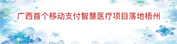 广西首个移动支付智慧医疗项目落地梧州