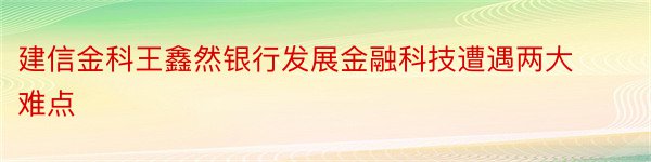 建信金科王鑫然银行发展金融科技遭遇两大难点